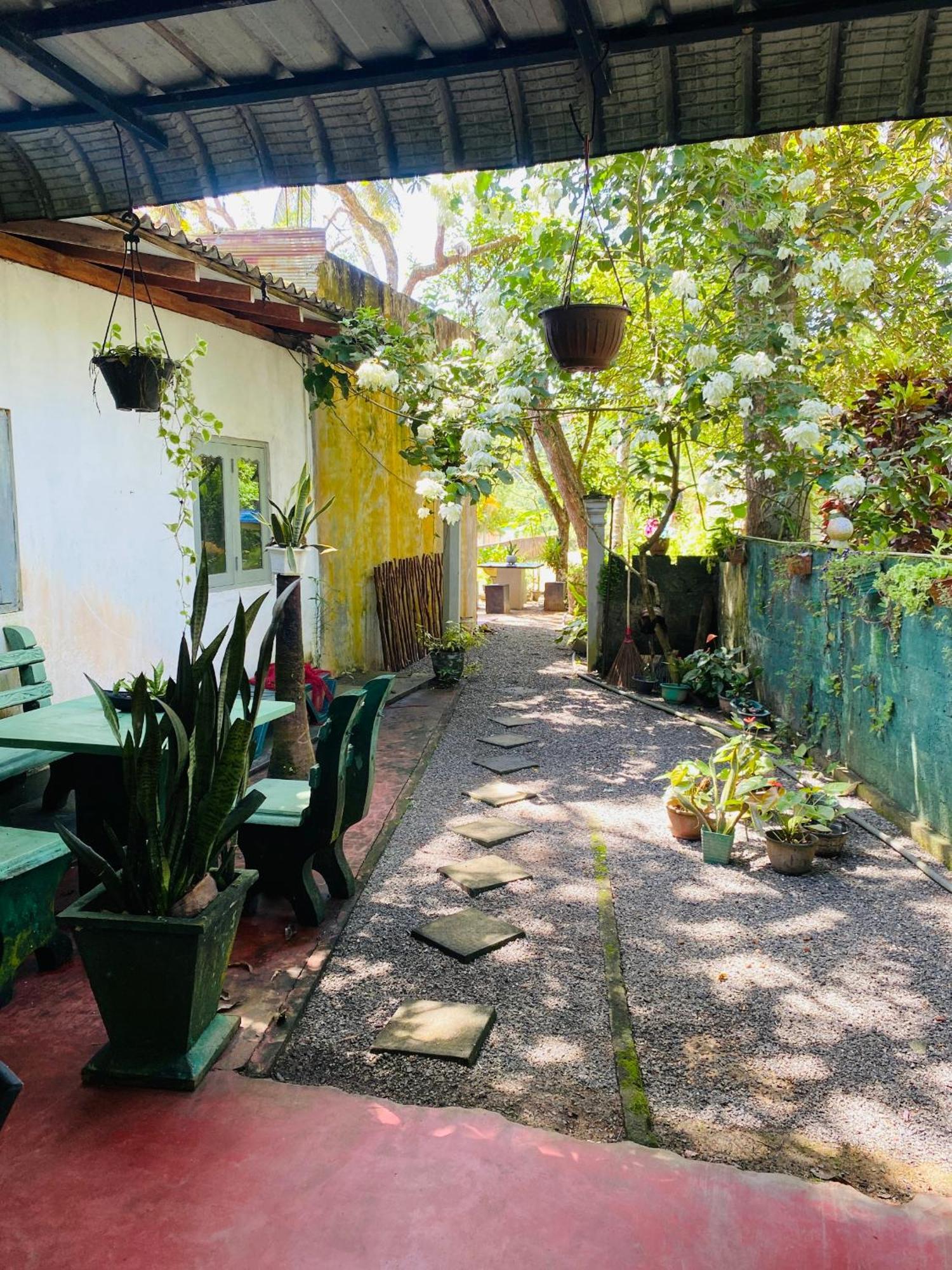 Little Mount Guest House Mirissa Kültér fotó